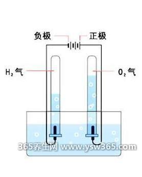 如何自制最简单的电解质水-在柠檬水里加盐和糖非常简单