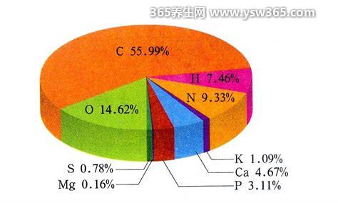 人体中含量最多的元素前五位排名