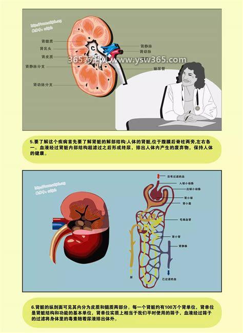 尿毒症早期的三大信号,开始少尿和无尿/水肿等症状